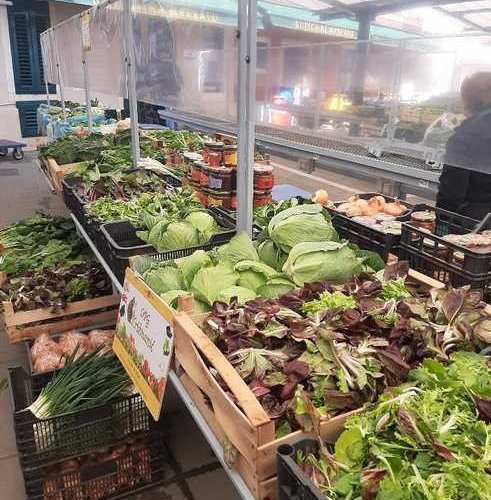 SVJEŽA PONUDA POVRĆA