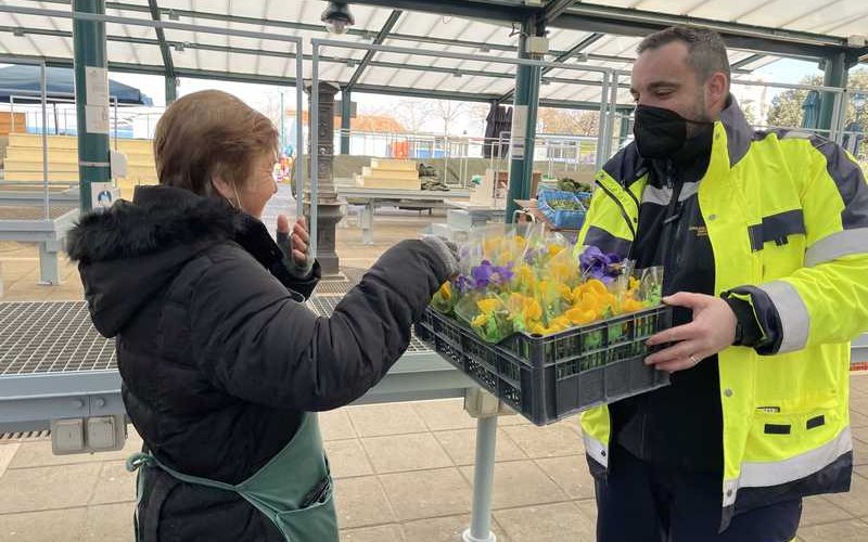MEĐUNARODNI DAN ŽENA