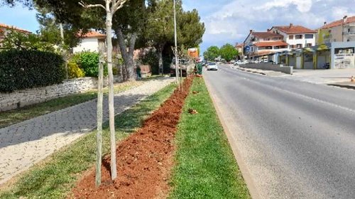 PRIPREMA CVJETNIH POVRŠINA ZA PROLJETNU SADNJU CVIJEĆA