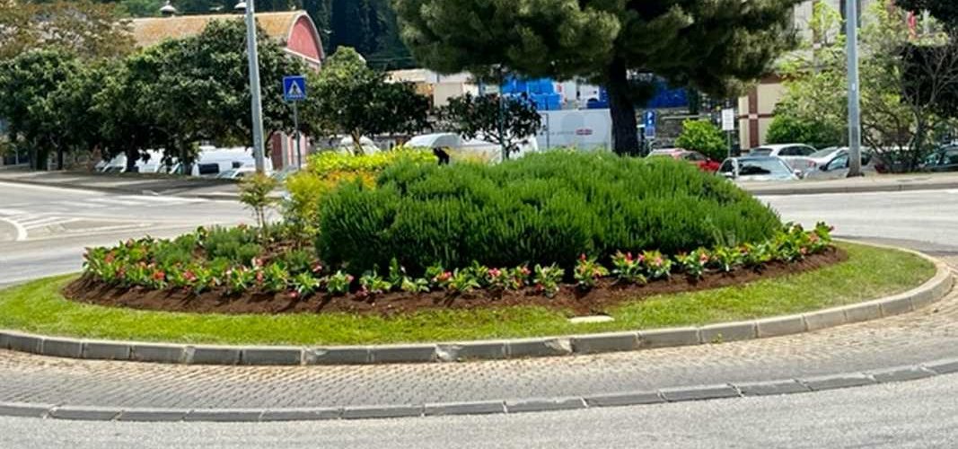 NASTAVAK SADNJE PROLJETNOG CVIJEĆA