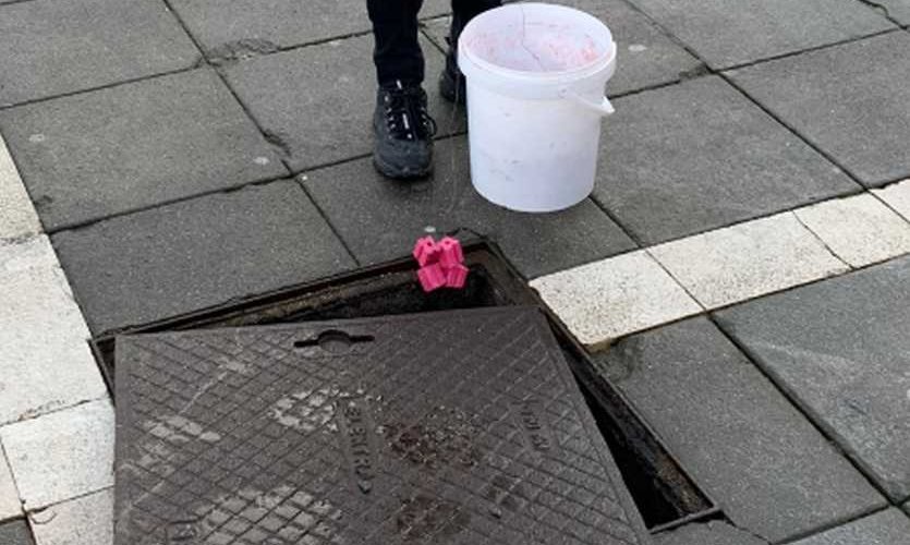 DERATIZACIJA I DEZINSEKCIJA U PJ TRŽNICA