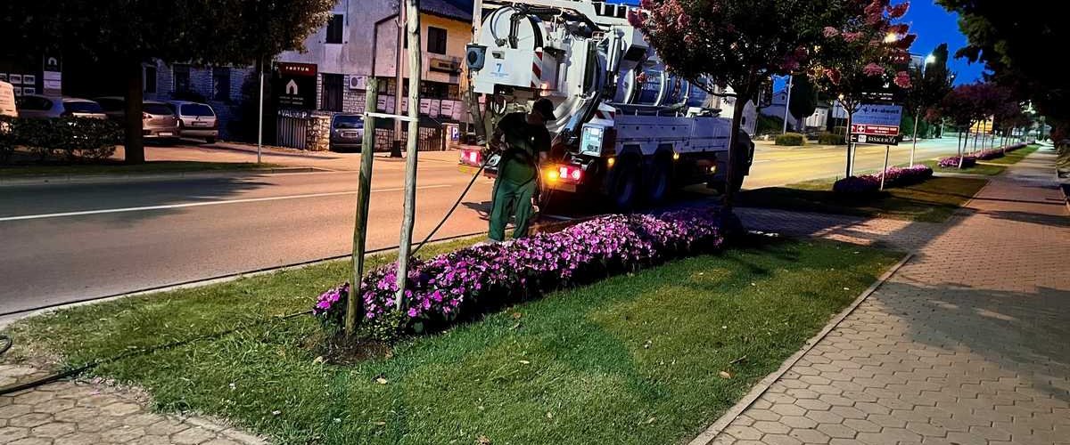 ZALIJEVANJE ZELENIH POVRŠINA