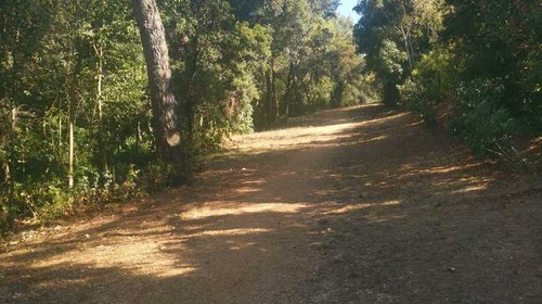 ČIŠĆENJE PROTUPOŽARNOG PUTA