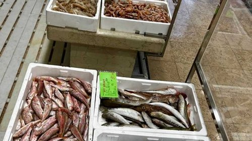 VELIKA PONUDA BIJELE RIBE