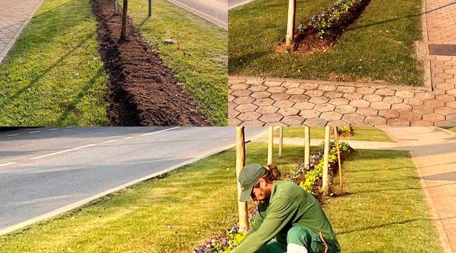 SADNJA JESENSKOG CVIJEĆA