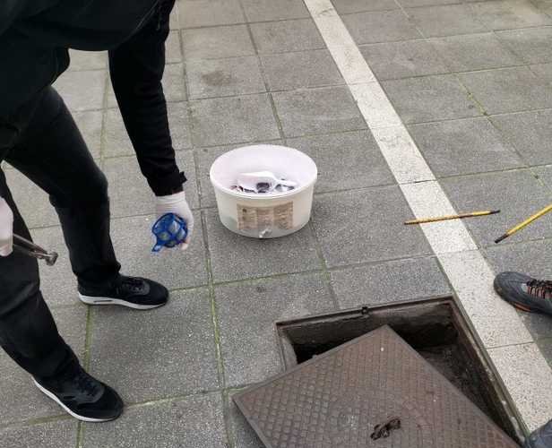 Deratizacija i dezinsekcija u PJ Tržnica i parkiralište