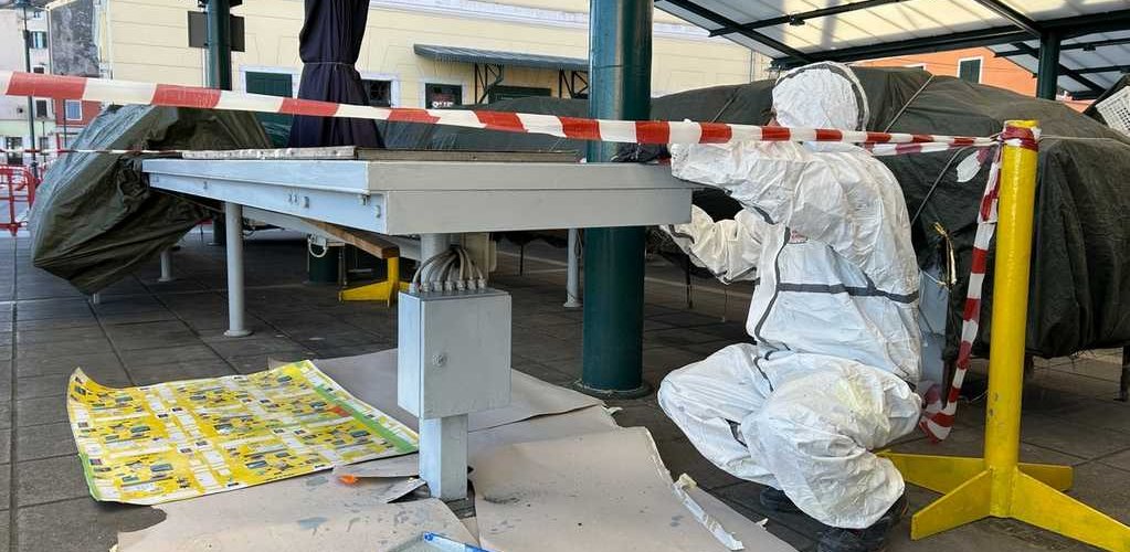 LIČENJE ZELENE TRŽNICE