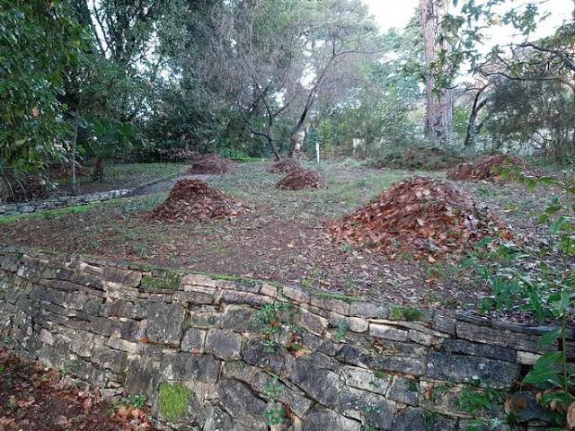 ČIŠĆENJE POVRŠINA U PARKU CENTRA ZA ISTRAŽIVANJE MORA