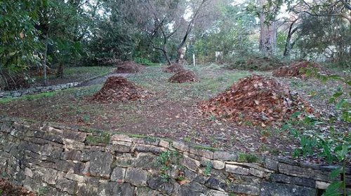 ČIŠĆENJE POVRŠINA U PARKU CENTRA ZA ISTRAŽIVANJE MORA