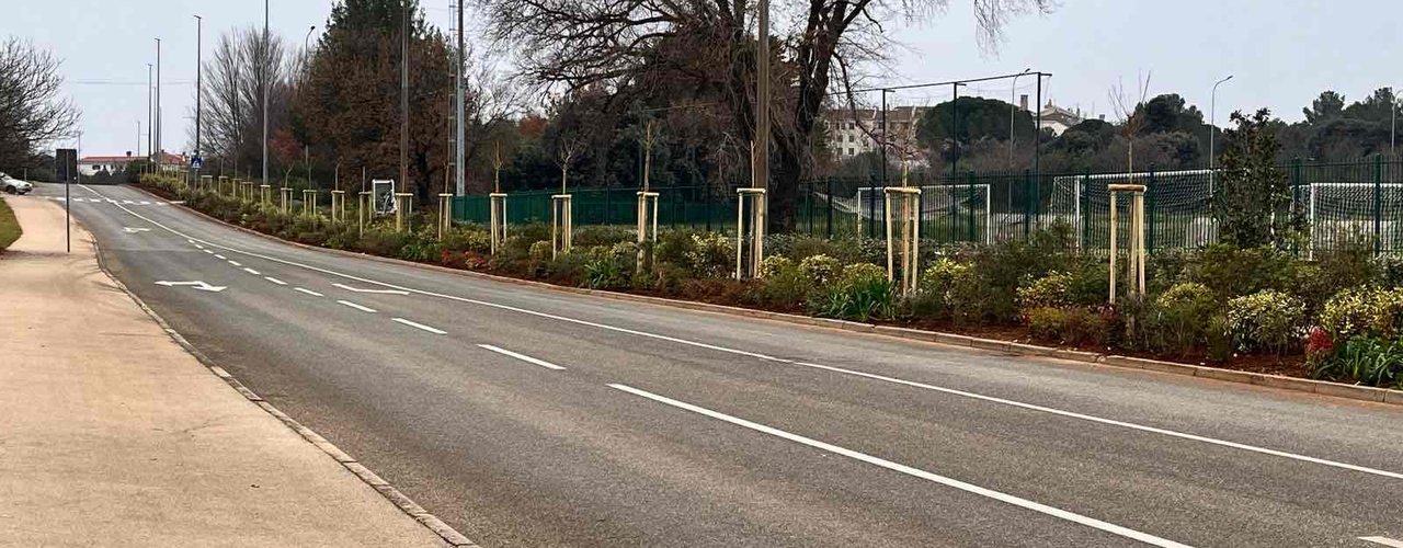 OBNOVA ZELENILA U ULICI ALEJA 30. SVIBNJA