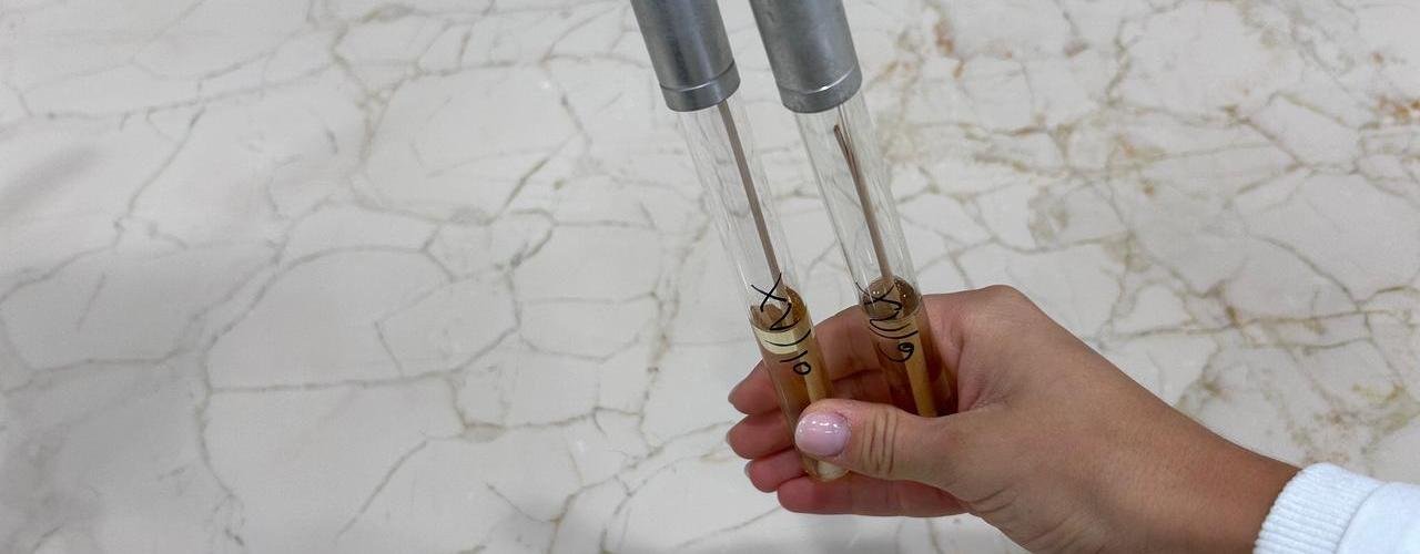 NOVOSTI TRŽNICA - Brisevi