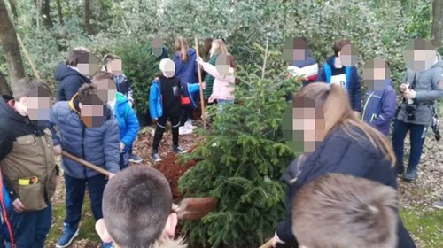 SADNJA STABALA NA PUNTA CORRENTE