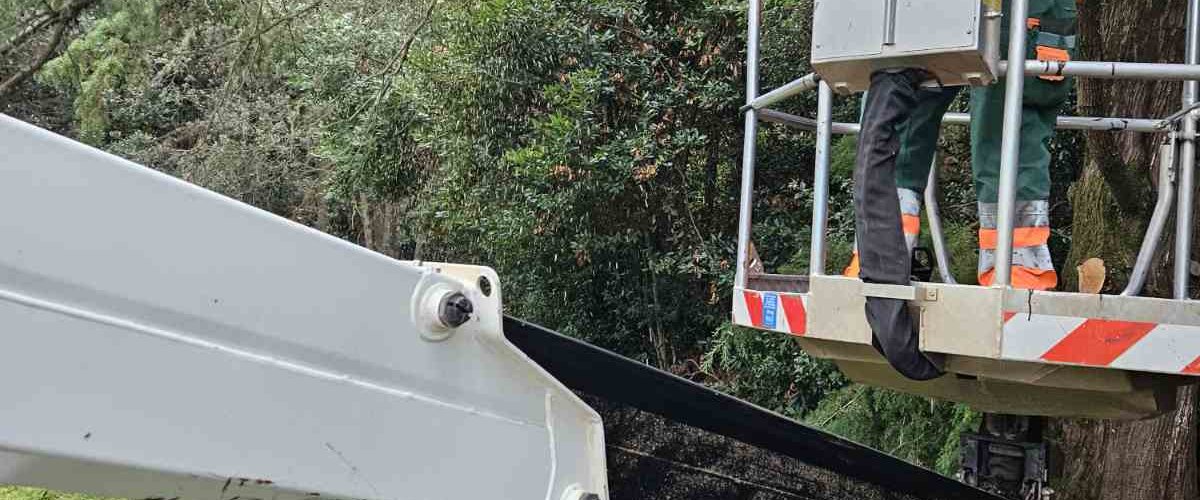 NOVOSTI OJ ZELENILO  - ČIŠĆENJE NAKON NEVREMENA