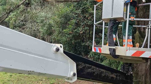 NOVOSTI OJ ZELENILO  - ČIŠĆENJE NAKON NEVREMENA