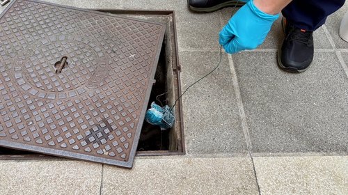 VIJESTI S GRADSKE TRŽNICE