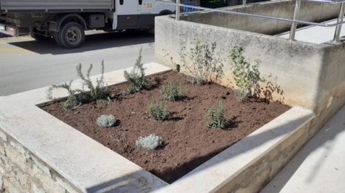 ZASAĐENO KORITO ISPRED PROSTORIJA UMIROVLJENIKA