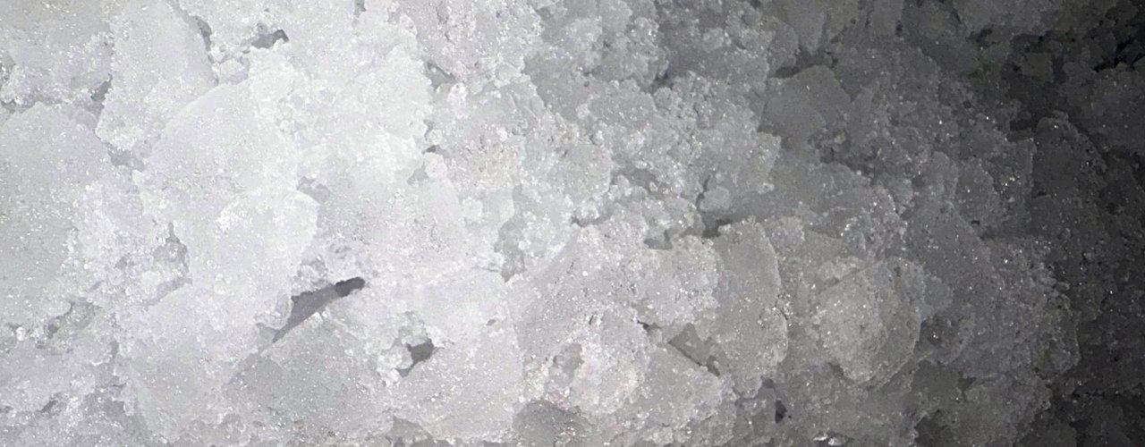 VIJESTI S GRADSKE TRŽNICE