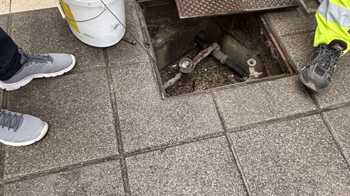 DERATIZACIJA I DEZINSEKCIJA U PJ TRŽNICA