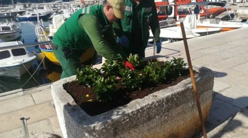 RADOVI UREĐENJA ZELENIH POVRŠINA